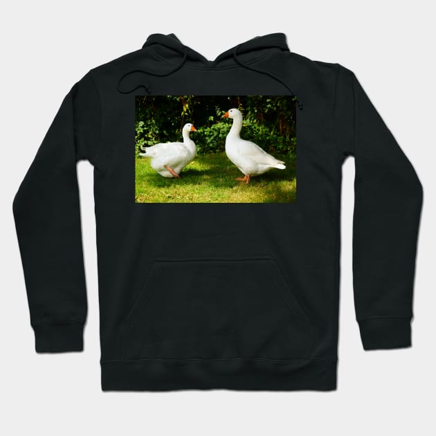 Two White Geese - Each Goose Looking At The Other Hoodie by Harmony-Mind